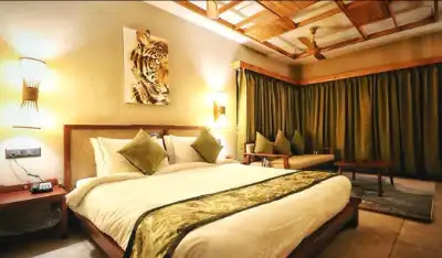 Luxury Accommodation